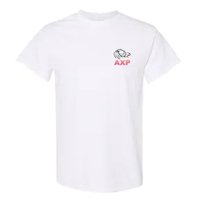 Alpha Chi Rho Sunset Summer T-Shirt