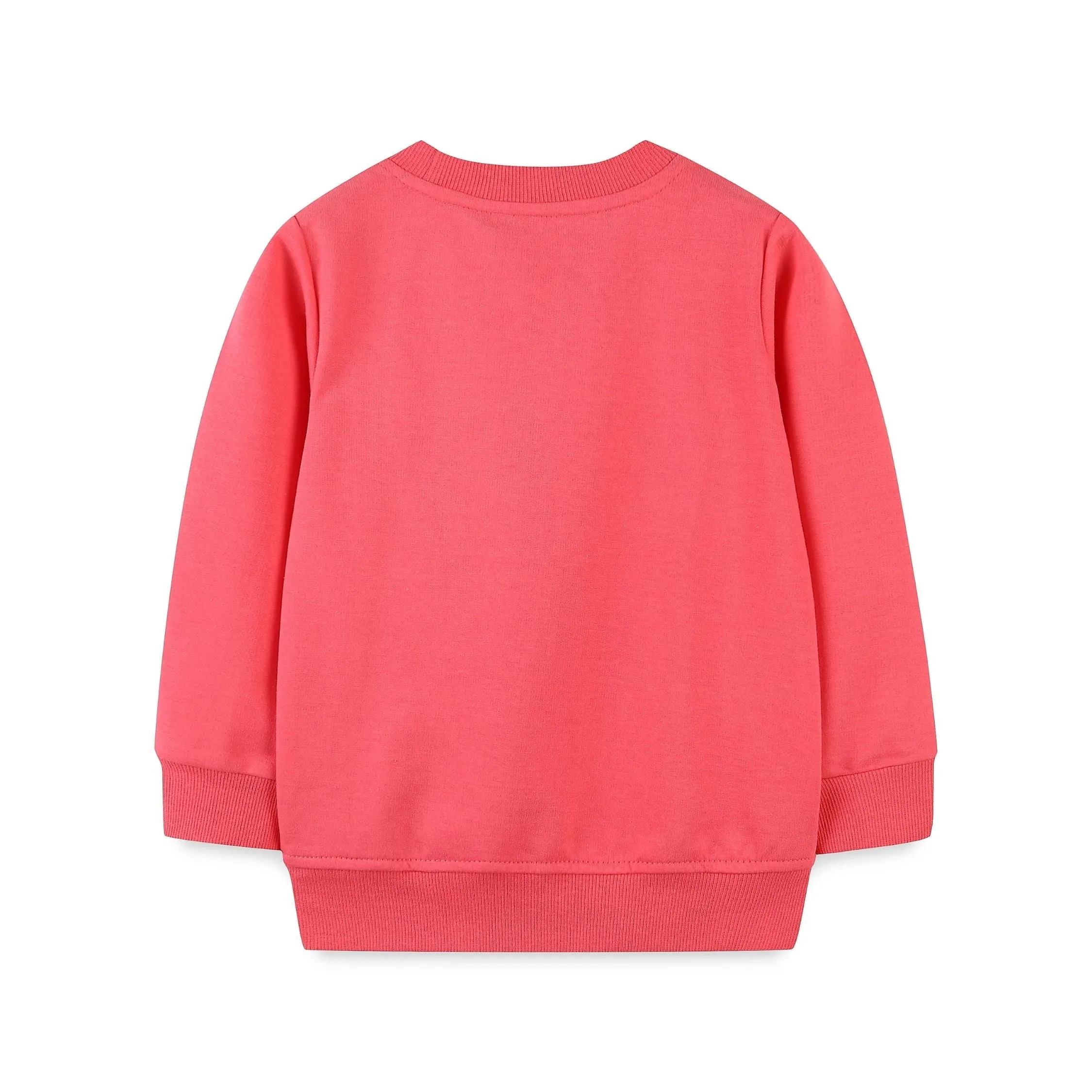 Applique Rainbow Embelised Sweat Shirt     (Pink)