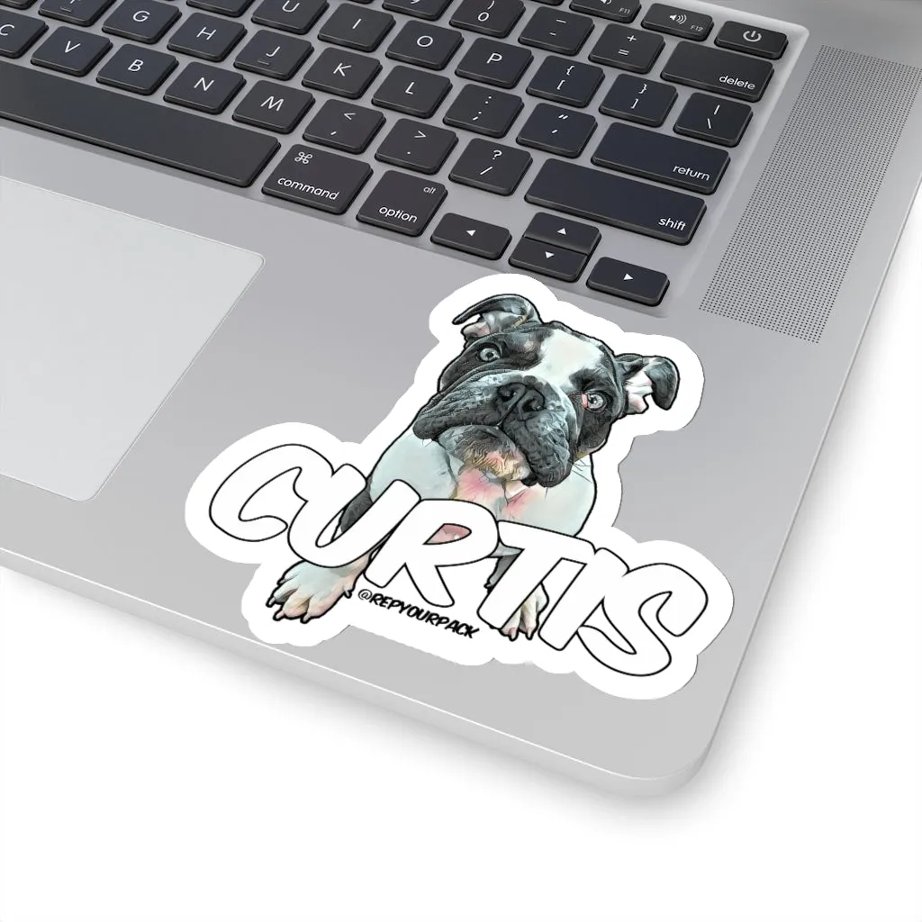 Curtis Stickers