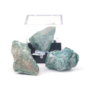 Fuchsite 20-40mm Specimen Terrarium - DS ROCK SHOP