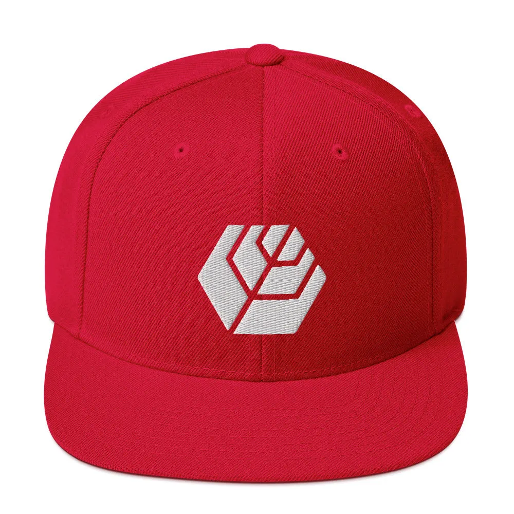 Hex Asians Snapback Hat