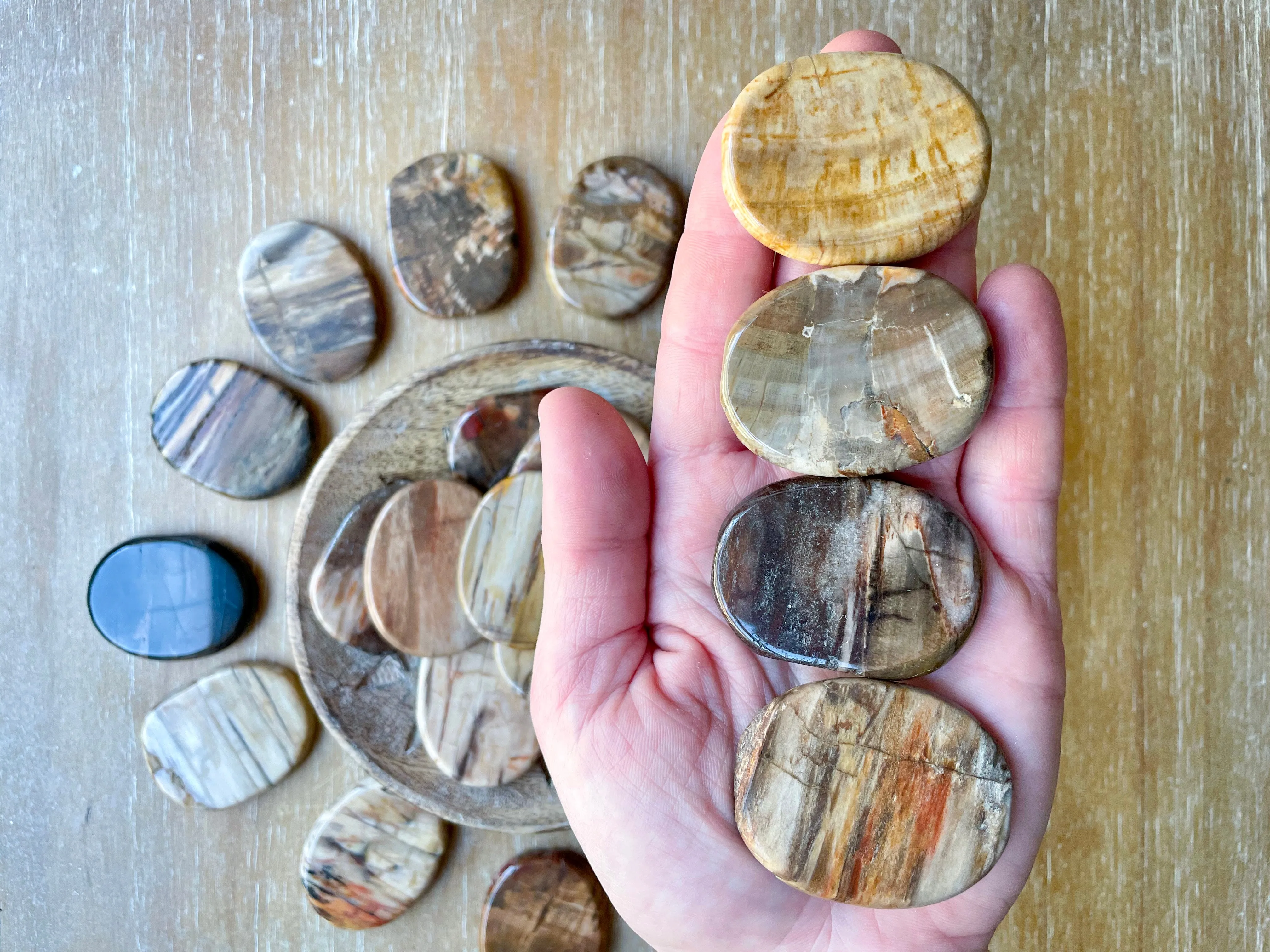 Petrified Wood Flat Palm Stone