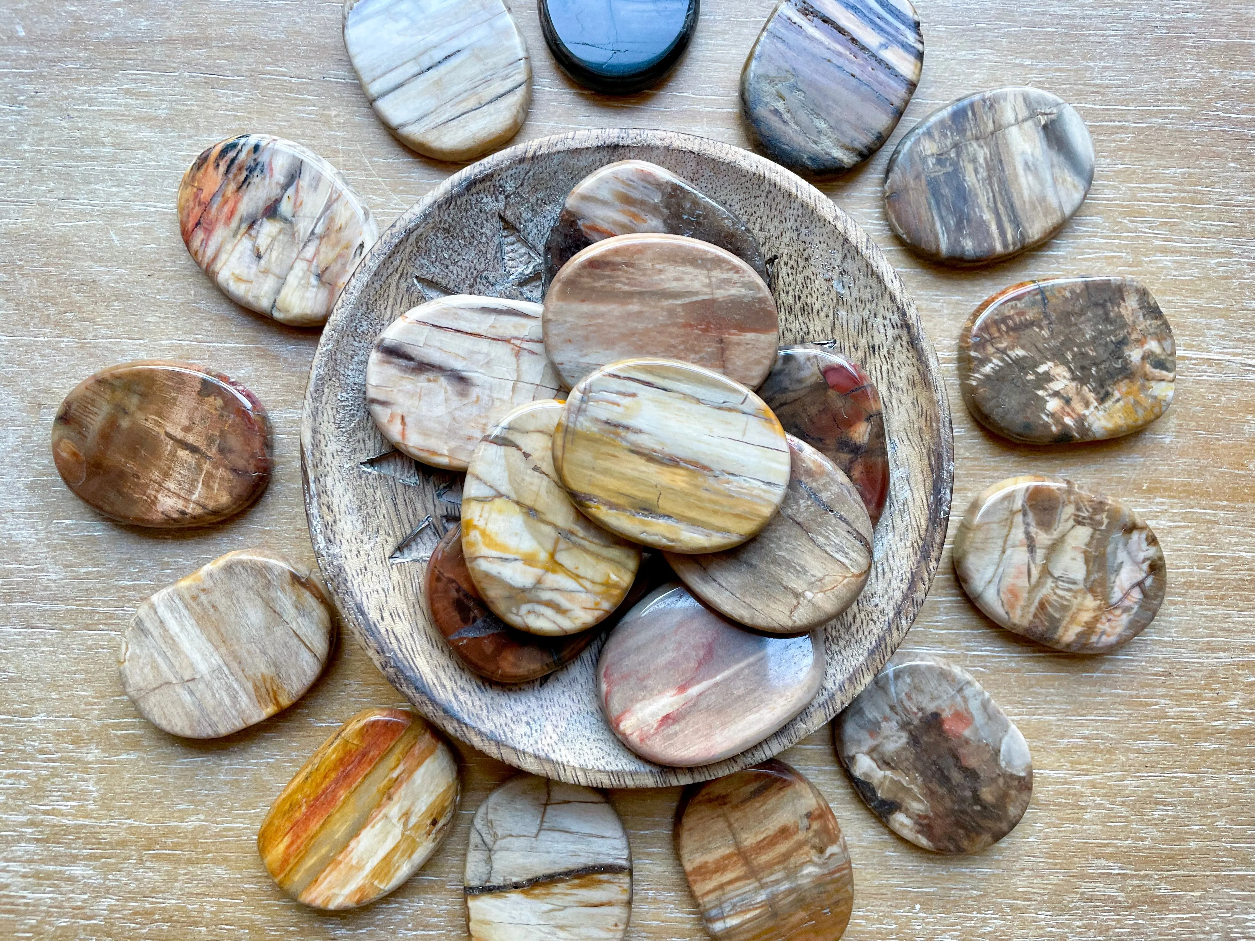 Petrified Wood Flat Palm Stone