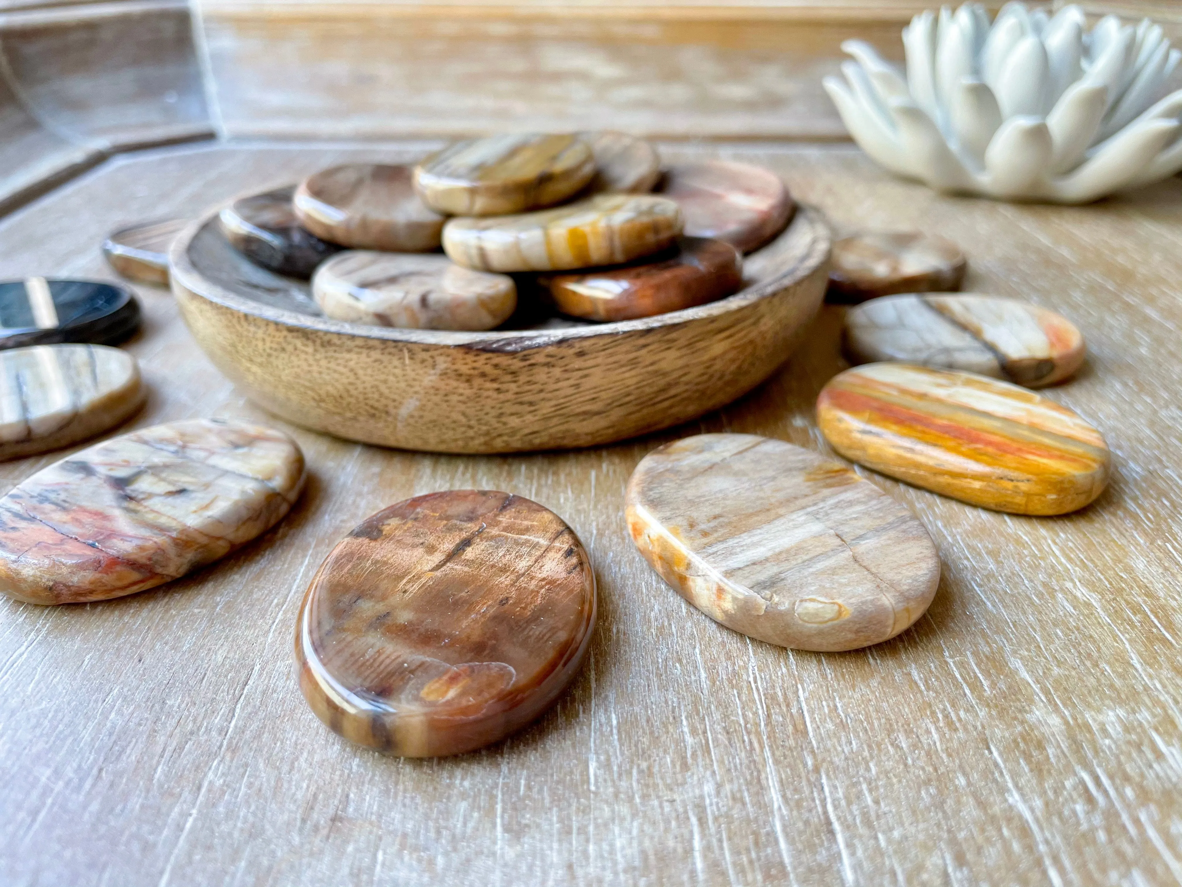 Petrified Wood Flat Palm Stone